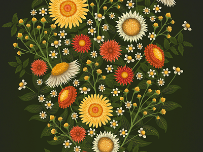 strawflowers and leaves