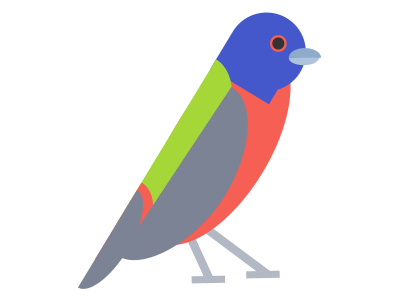 Painted Bunting bird color flat painted bunting