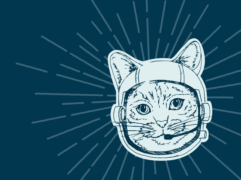 Space Kitty By Brittany Statt On Dribbble