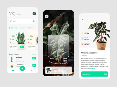 Plant Identifier App app app design ar app clean design garden green hobby mobile mobile app nature plants scan scanner ui uiux uiuxdesign ux