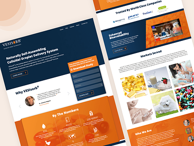 Vesisorb - Corporate Website branding design illustrator seo ui ux web website