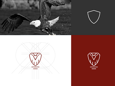 MavenPro Concept Design brand company concept eagle icon identity lines logo shield simple