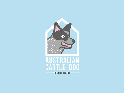 Australian Cattle Dog Rescue Italia acd australian blue cattle dog heeler italia pet rescue