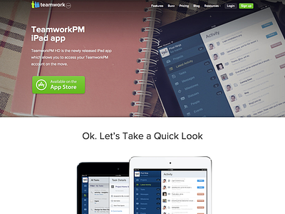 TeamworkPM HD - iPad App Landing Page