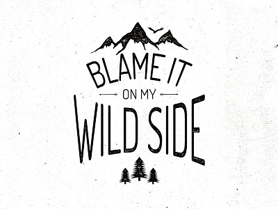 Blame It On My Wild Side create design graphicdesign lettering letters textures type typeface typography wild