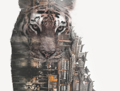 Native artwork china design double exposure endangered species native photoshop print tiger