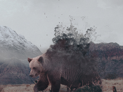 Bear adobe artwork bear brushes design effect experiment landscape photoshop smoke textues