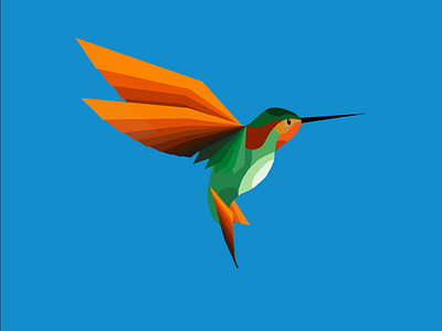 hummingbird