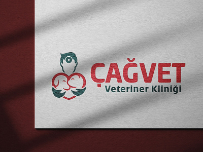 Chagvet branding design graphic design logo vector