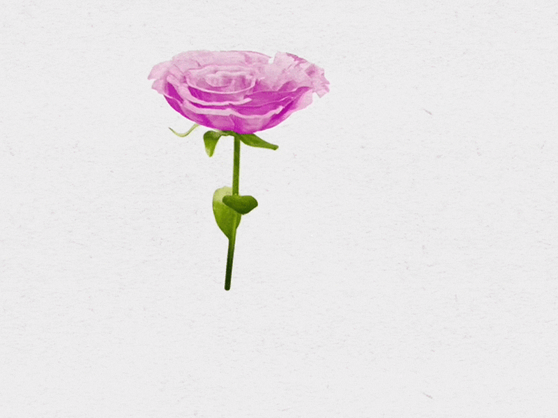 3D Watercolour Rose in Blender 3d 3d animation 3d modeling blender blender 3d eeveerender flower illustration rose watercolor watercolor illustration