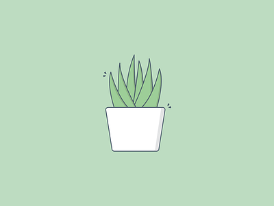 Potted Aloe