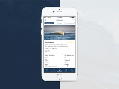 Surf App app canary islands icon ios surf surf spot