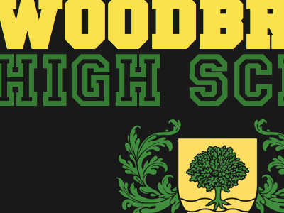Woodbridge High School college school