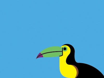 keel-billed toucan bird