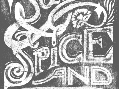 spice custom drawn experiment type typography