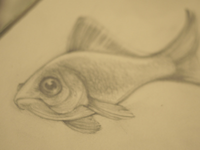 gold cutie drawing fish gold melancholic patootie pencil sad