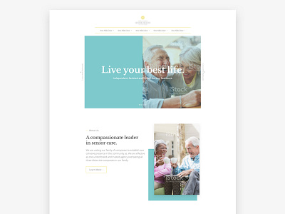 Seniors Just Wanna Have Fun, Too concept web design