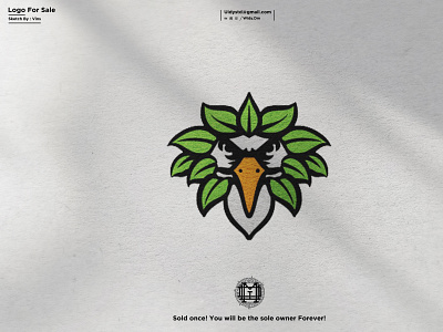 Eagle Leaf Logo bird branding design eagle eagle leaf logo illustration leaf logo logo for sale minimal monogram type ui vector