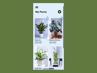 Plant Watering Reminder - Mobile Application Concept application ui design mobile app mobile ui plant ui ui design