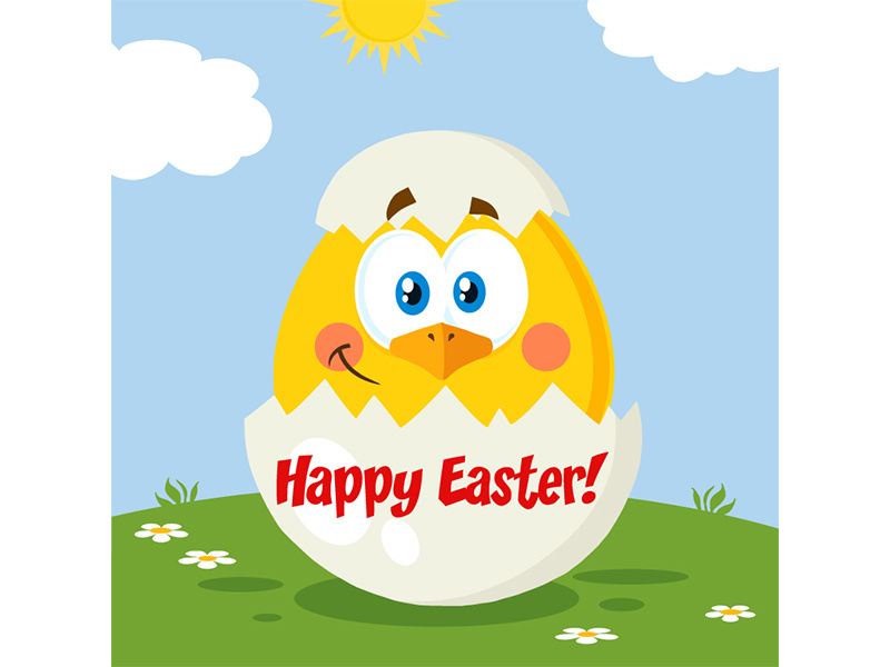 Easter Chick easter chiken post card greeting holiday hittoon vector graphics design illustration mascot character cartoon chick animal