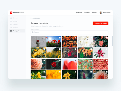 Photo Library | Small Biz Brands Interface