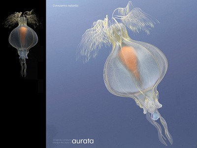 aurata 1 3d 3d art design illustration jellyfish mentalray