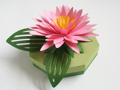 Aster gift box