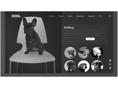 Website - DOG black black and white bulldog dog ui ux website design