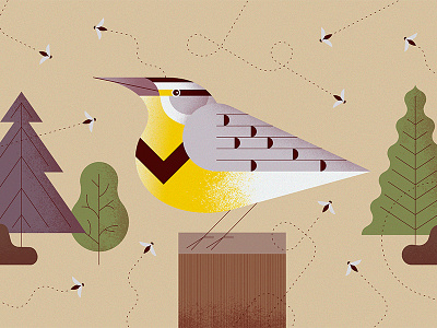 Meadowlark bird flat illustration