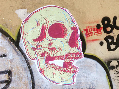 Skull art calavera skull street street art