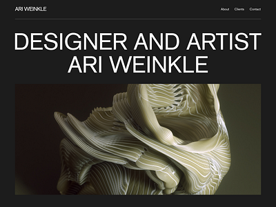 Ari Weinkle Hero Page branding design flat logo minimal ui vector web website