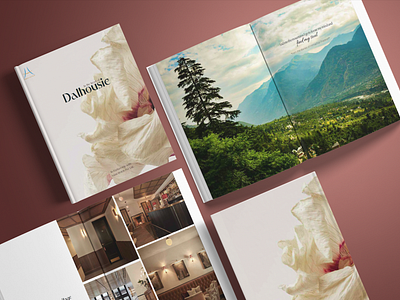 Dalhousie- Brochure Design