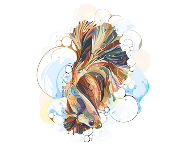 Betta Fish