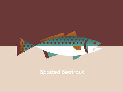 Spotted Seatrout