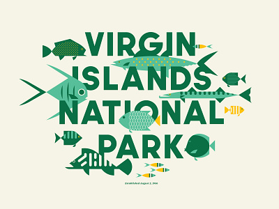 Virgin Islands National Park – Type Hike fish ocean tropical usa water