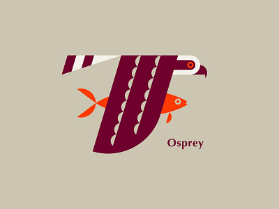 Osprey bird fish