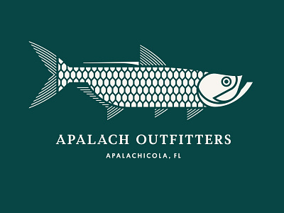 Apalach Outfitters fish fishing ocean tarpon