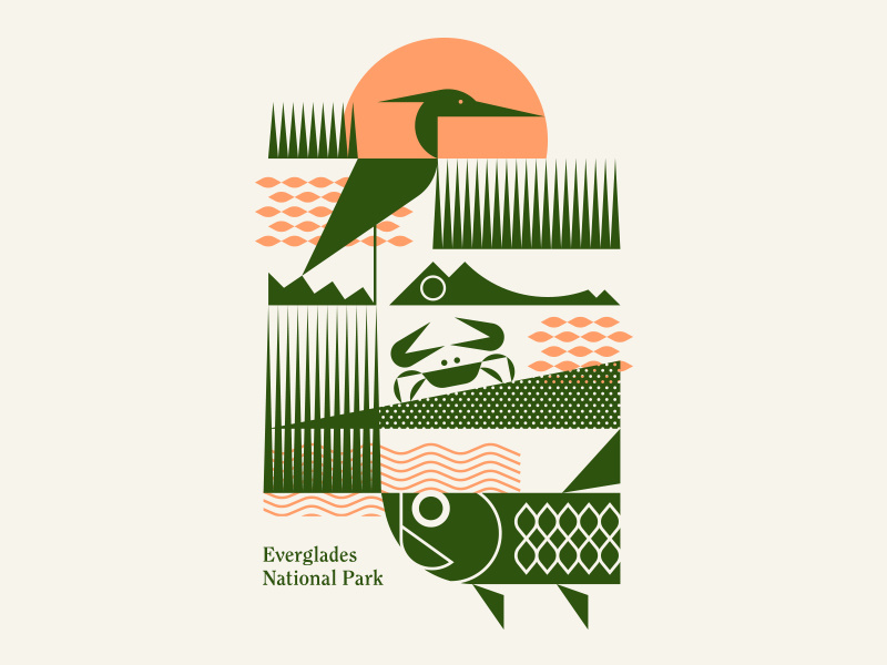 Everglades National Park water sunset grass crab tarpon fish heron bird alligator sun florida