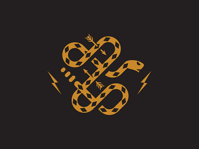 Branding III branding icon mark snake venture racket