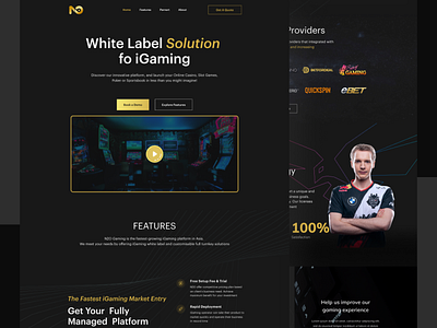 Landing Page N2O Gaming dakmode design designchallenge exploration game gaming gamming ui user interface website