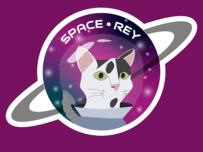 Space Rey adobe cat design illustration space sticker vector wacom