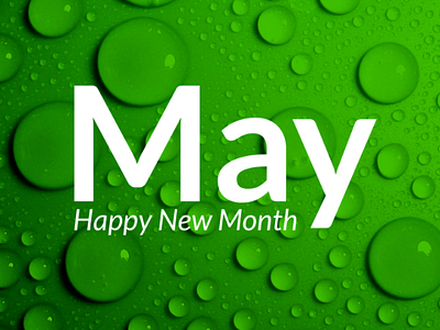 May may design