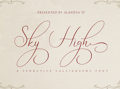 Sky High Script branding decorative design font illustration strong typeface typography versatile web