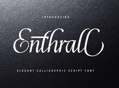 Enthrall branding decorative design font illustration logo minimal typeface typography