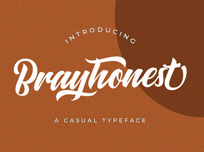 Brayhonest branding decorative design font illustration logo minimal strong typeface typography