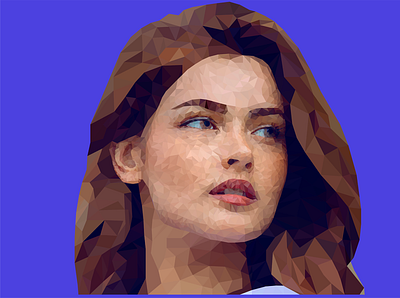 TRUE BEAUTY Recovered detailed illustration lowpoly