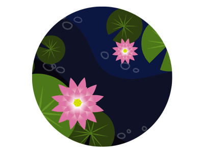 Koi pond with waterlilies