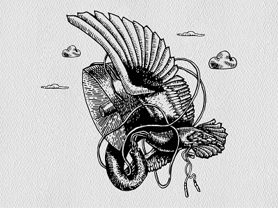 into the clouds birds black@white illustration inkpen wings