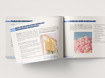 Influencer Starter Kit eBook Layout digital download ebook ebook layout layoutdesign