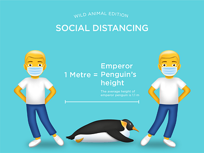 Social Distancing - Emperor Penguin